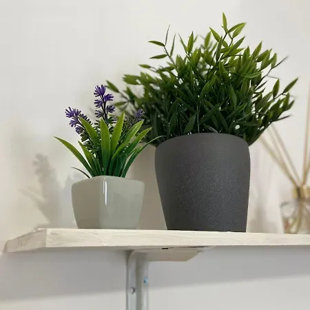 Pensión Verona Rooms